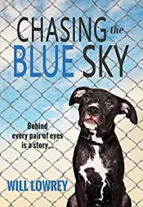 Chasing Blue Skies - Revue éditoriale - Guide de critique de livre