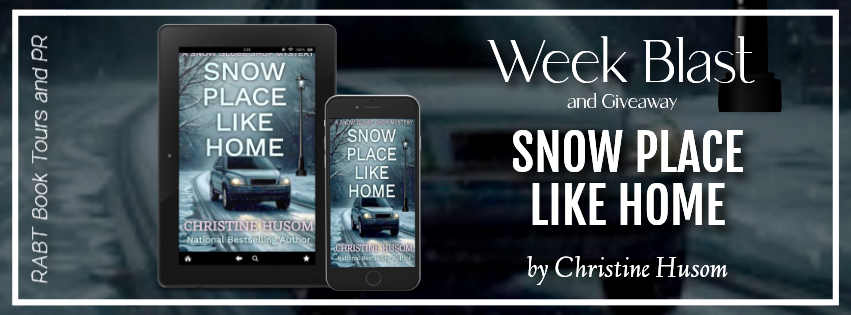 Explosion du livre Snow Place Like Home – Gin Review